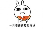 吃瓜表情是什么意思啊内涵句子,网络热词背后的幽默与内涵