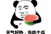 反吃瓜表情包,揭秘网络时代的“冷眼旁观”